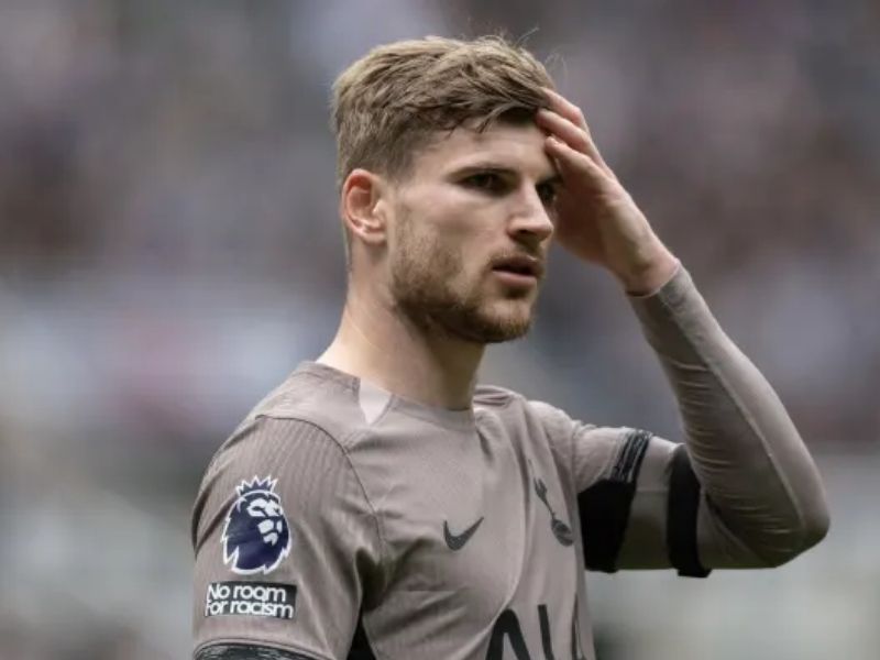 tien-dao-timo-werner-1